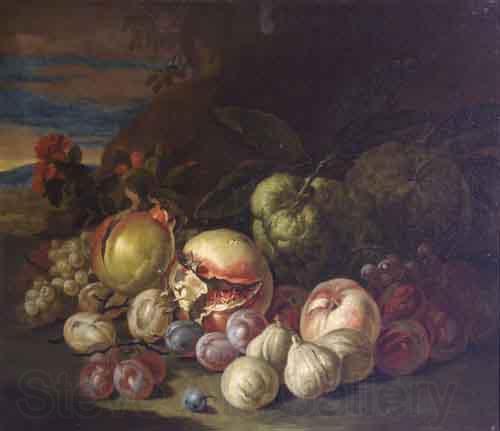 Jakob Bogdani Grapes and Peaches Spain oil painting art